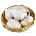 Normal White Garlic Chinese Fresh Pure White Garlic 5.5cm Factory